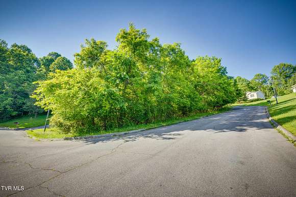 0.3 Acres of Residential Land for Sale in Kingsport, Tennessee