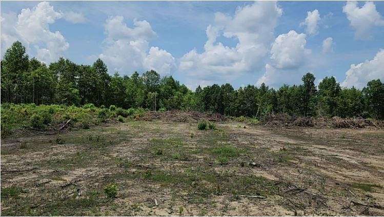 45.8 Acres of Land for Sale in Sunbright, Tennessee