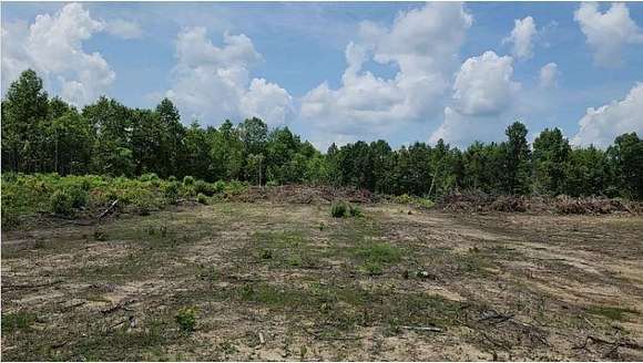 45.8 Acres of Land for Sale in Sunbright, Tennessee