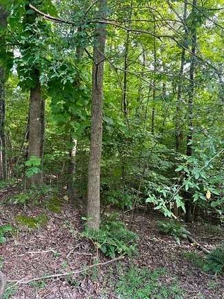 0.54 Acres of Residential Land for Sale in Westminster, South Carolina
