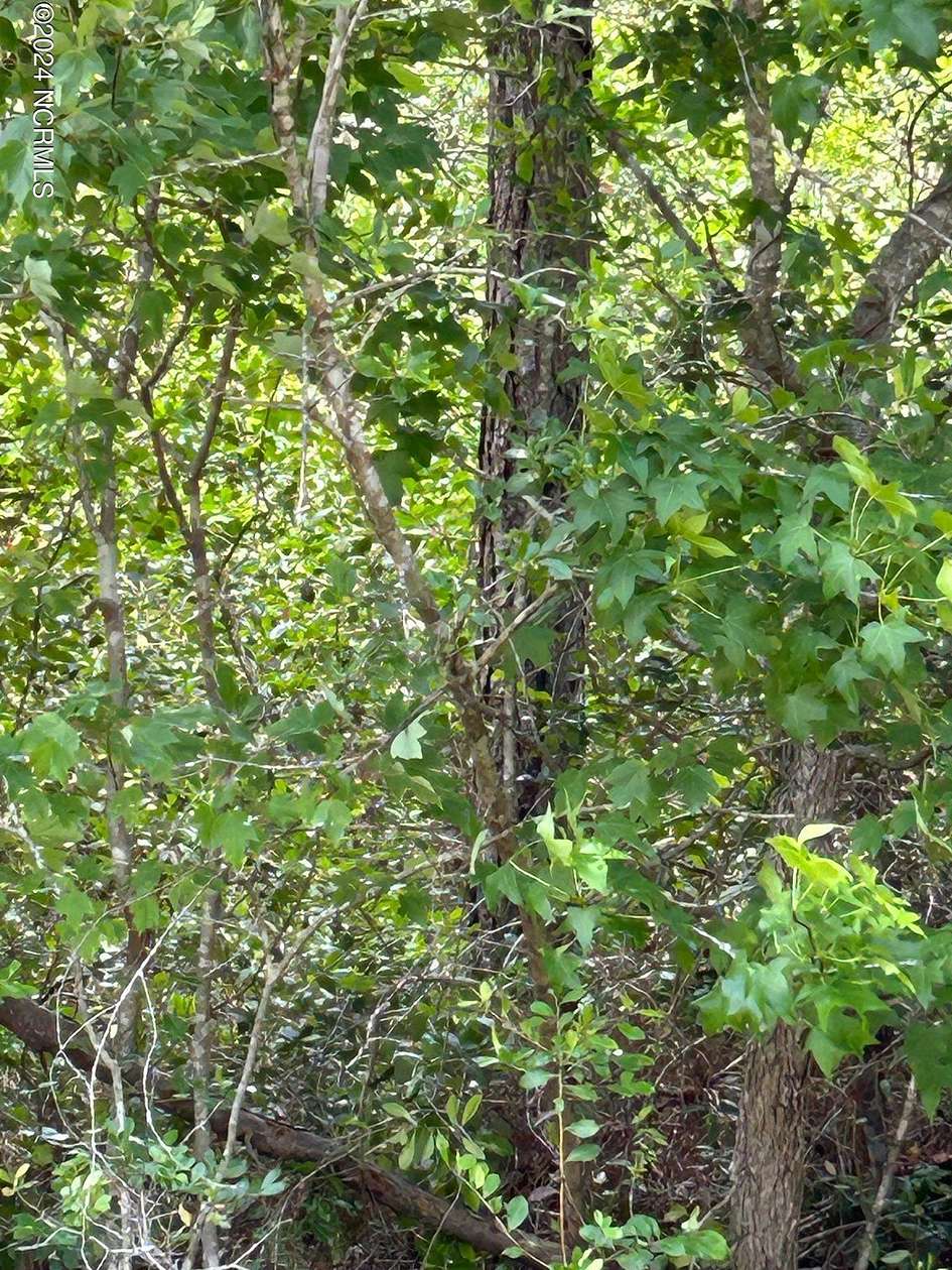 1.46 Acres of Residential Land for Sale in Southport, North Carolina