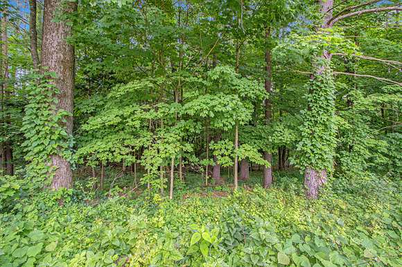 0.66 Acres of Residential Land for Sale in Allegan, Michigan