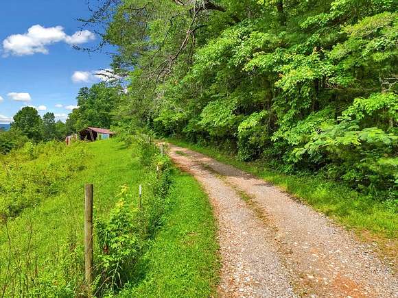 14.7 Acres of Land for Sale in Ellijay, Georgia