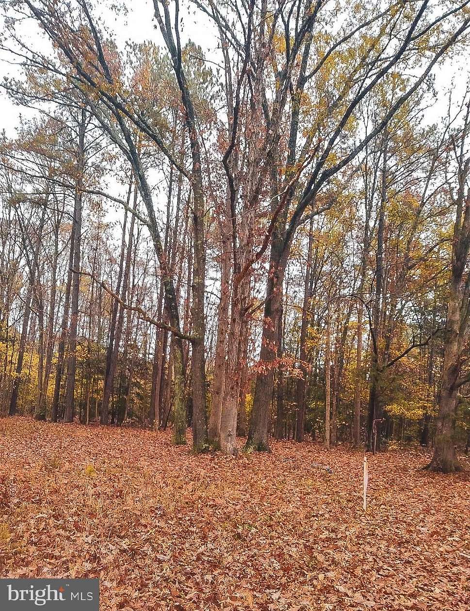 4.25 Acres of Residential Land with Home for Sale in Warfield, Virginia
