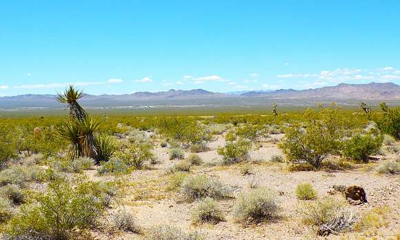 1.01 Acres of Residential Land for Sale in White Hills, Arizona