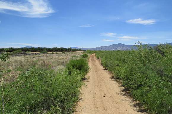213 Acres of Land for Sale in Bowie, Arizona