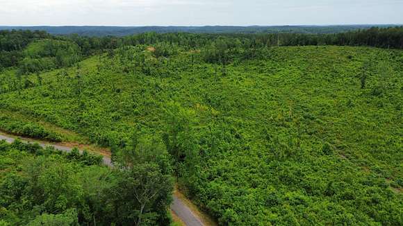 42 Acres of Land for Sale in Carbon Hill, Alabama