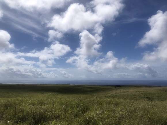 23.997 Acres of Recreational Land & Farm for Sale in Nāʻālehu, Hawaii