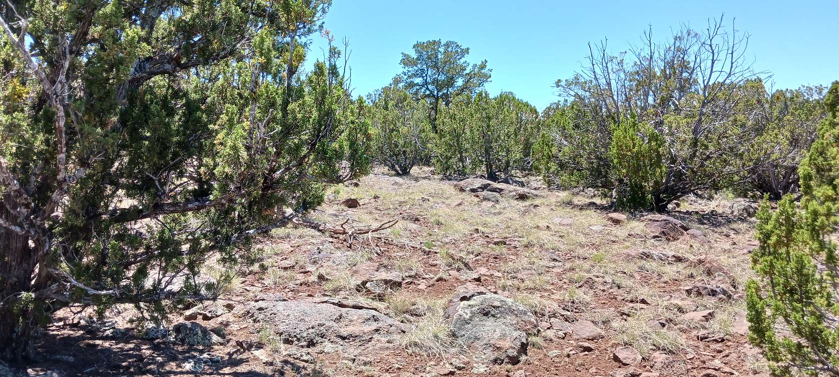 2.32 Acres of Residential Land for Sale in Concho, Arizona