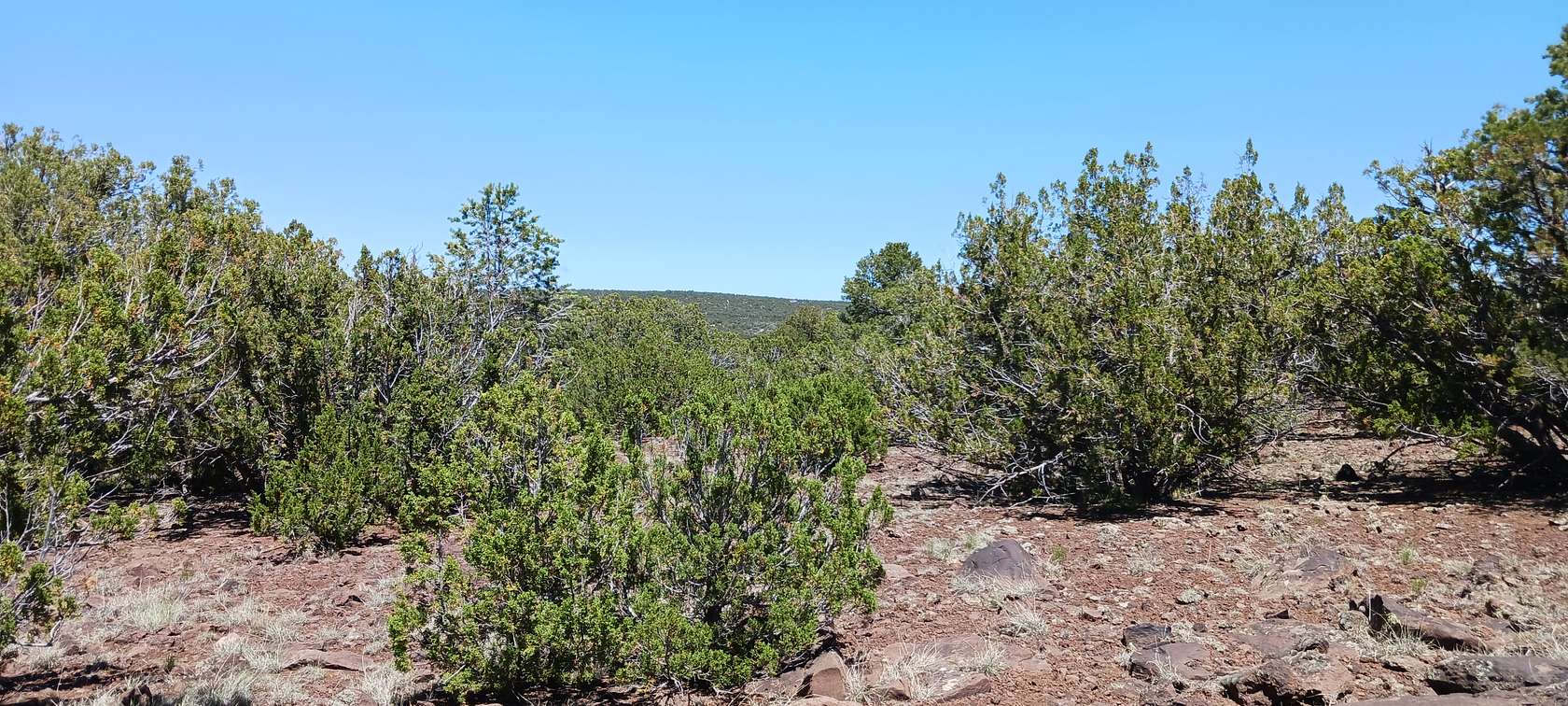 2.32 Acres of Residential Land for Sale in Concho, Arizona