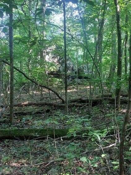 5.39 Acres of Land for Sale in Dunlap, Tennessee