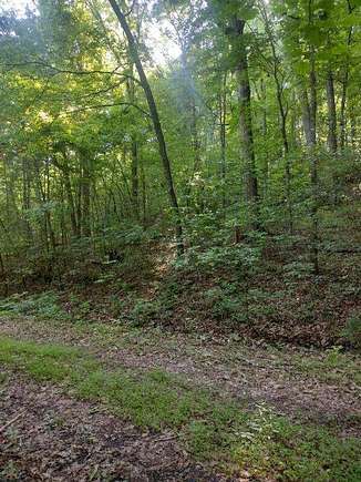 5.39 Acres of Land for Sale in Dunlap, Tennessee