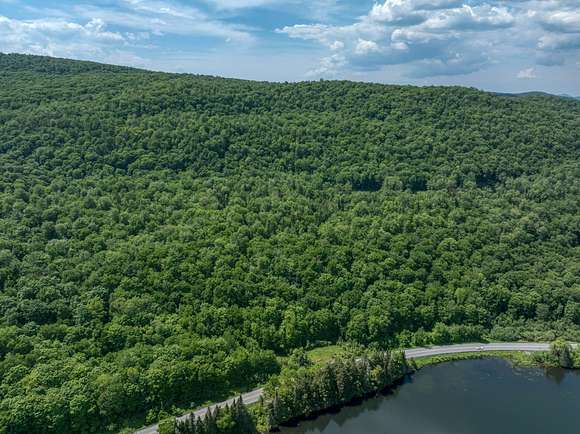 60 Acres of Recreational Land for Sale in Hardwick, Vermont