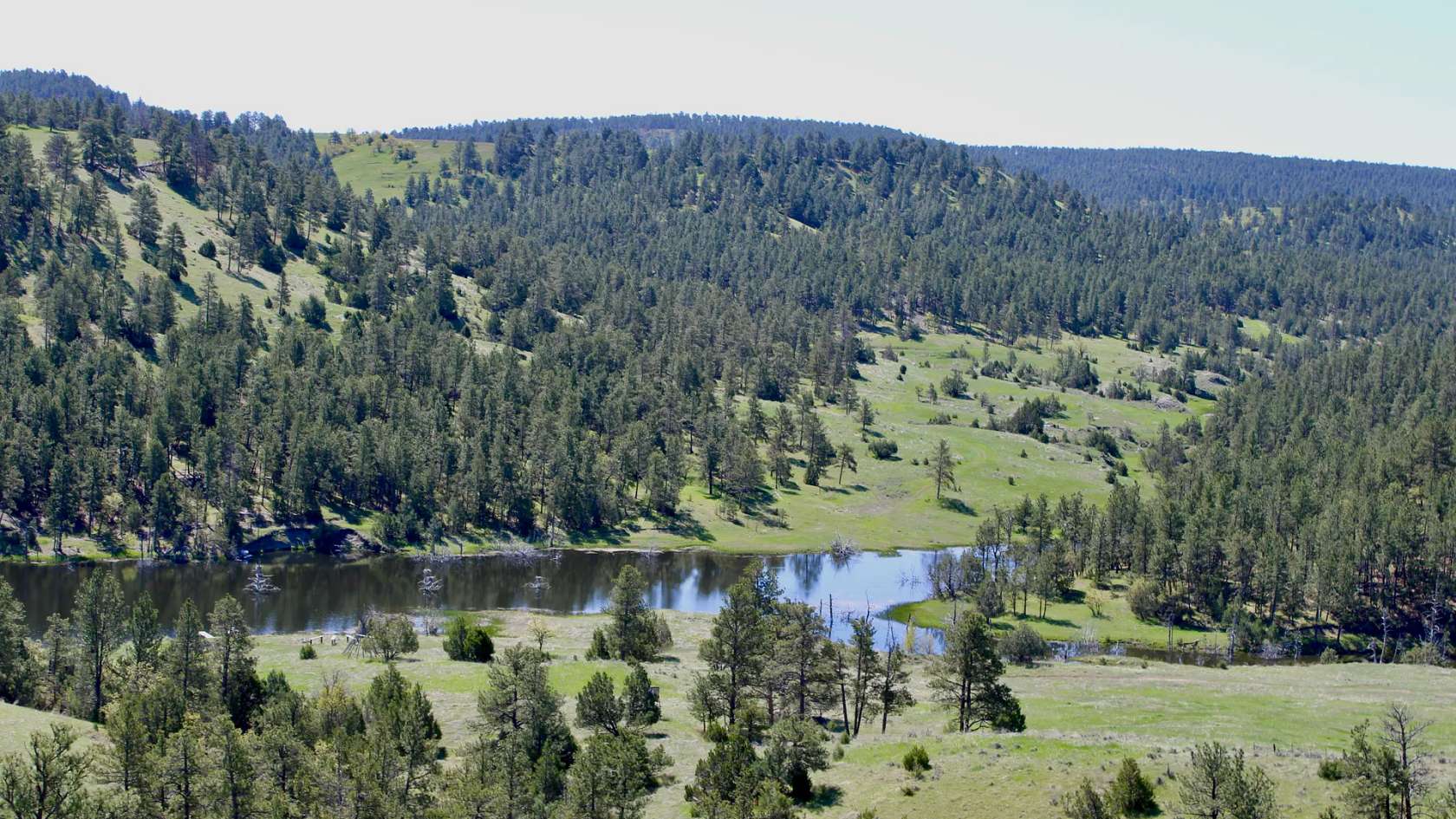 2,442 Acres of Land for Sale in Hulett, Wyoming