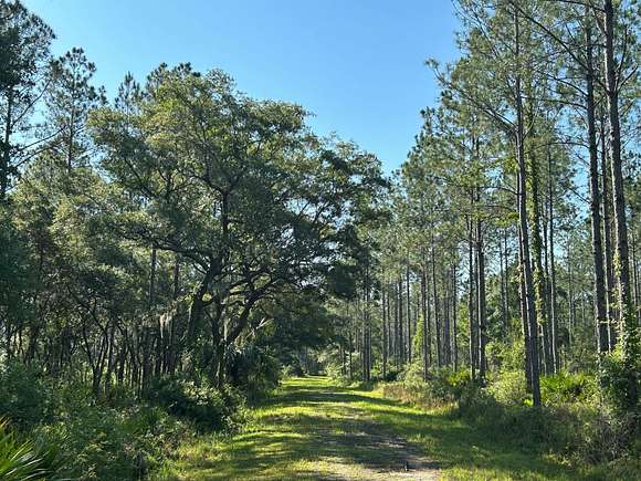 635 Acres of Recreational Land & Farm for Sale in Chiefland, Florida