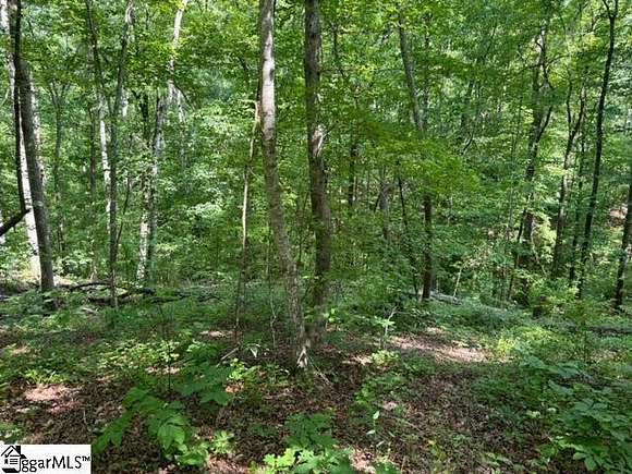 1.04 Acres of Residential Land for Sale in Pickens, South Carolina