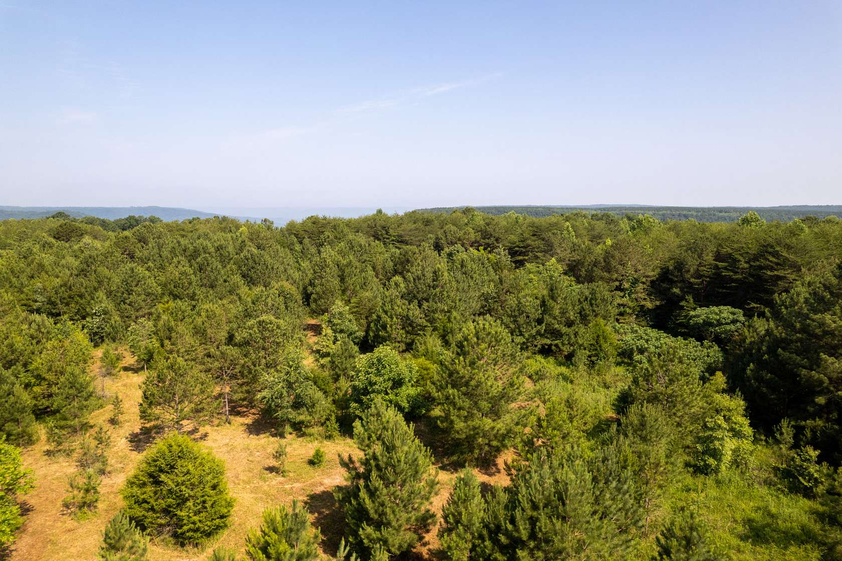 11.1 Acres of Recreational Land & Farm for Sale in Bryant, Alabama