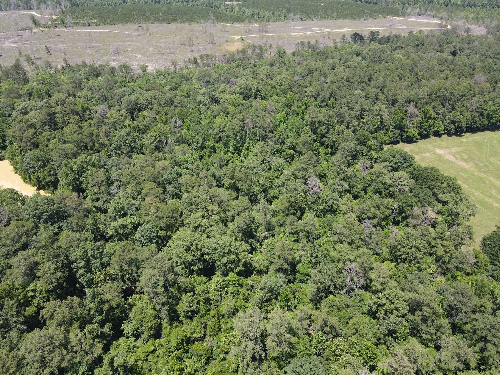 40 Acres of Recreational Land & Farm for Sale in Repton, Alabama