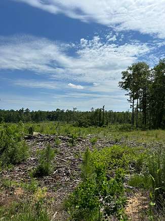 24 Acres of Recreational Land & Farm for Sale in Brewton, Alabama