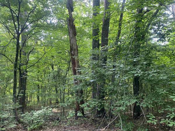 0.29 Acres of Residential Land for Sale in Hot Springs Village, Arkansas