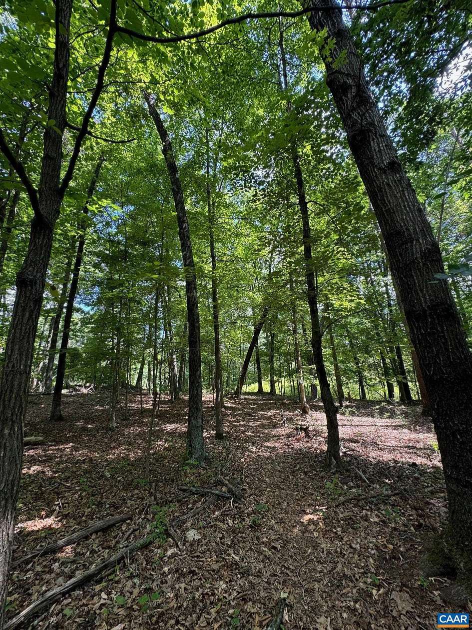3.9 Acres of Residential Land for Sale in Charlottesville, Virginia