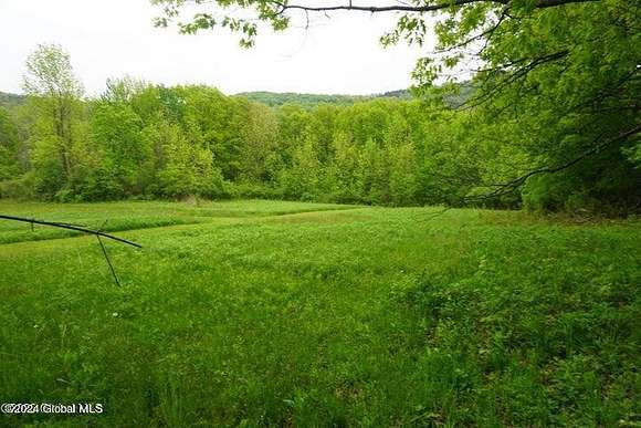 19.2 Acres of Land for Sale in Richmondville, New York