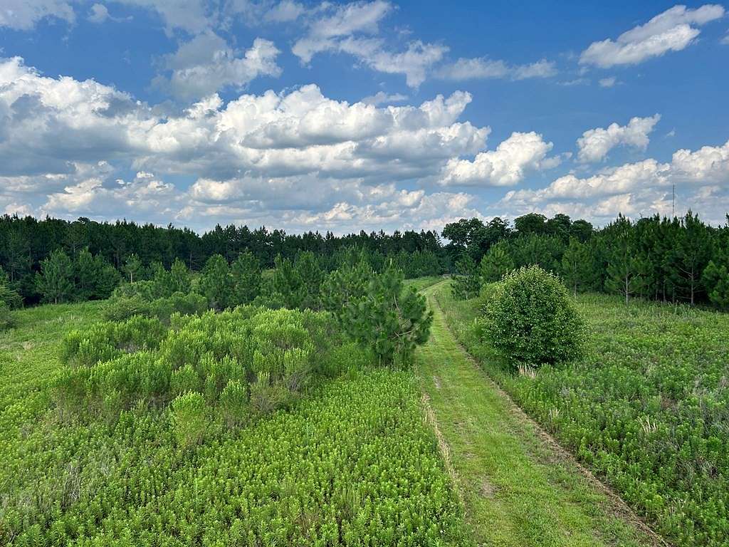 69.2 Acres of Recreational Land & Farm for Sale in Tifton, Georgia