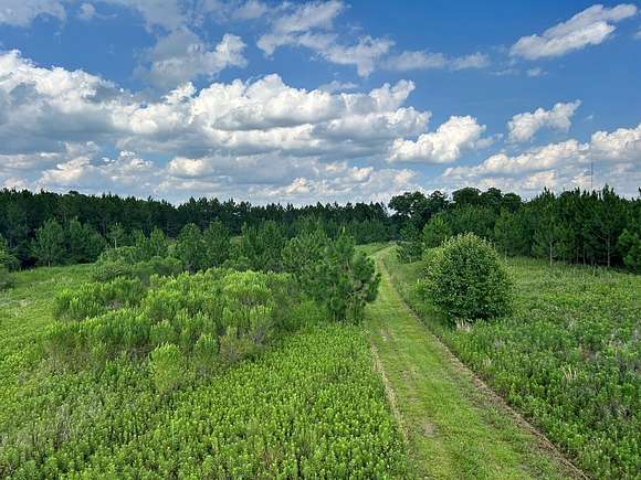 69.16 Acres of Recreational Land & Farm for Sale in Tifton, Georgia