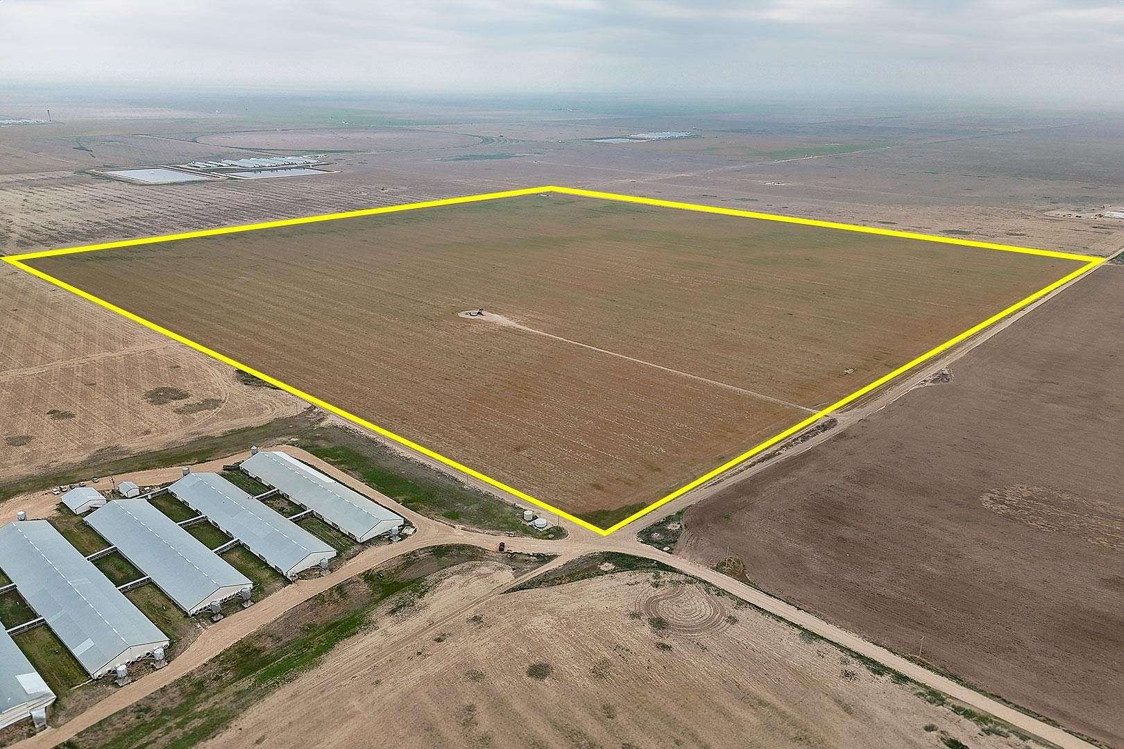 162.6 Acres of Agricultural Land for Auction in Rolla, Kansas