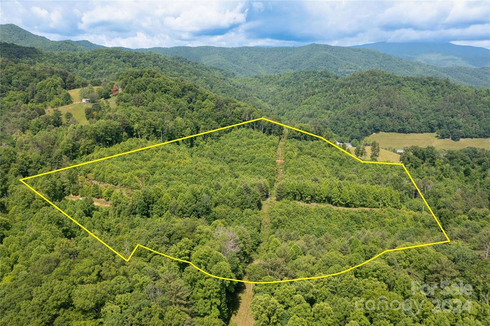33.1 Acres of Recreational Land for Sale in Waynesville, North Carolina