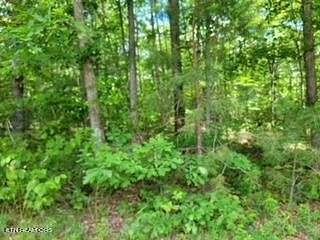 1 Acre of Land for Sale in Jamestown, Tennessee