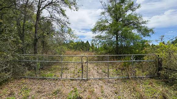 Entrance Gate From 340