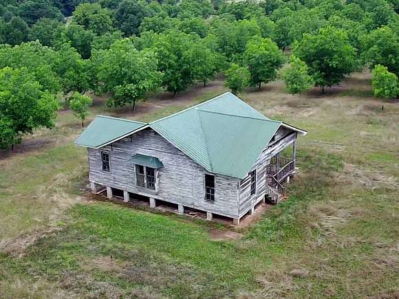 64.39 Acres of Land with Home for Auction in Davisboro, Georgia