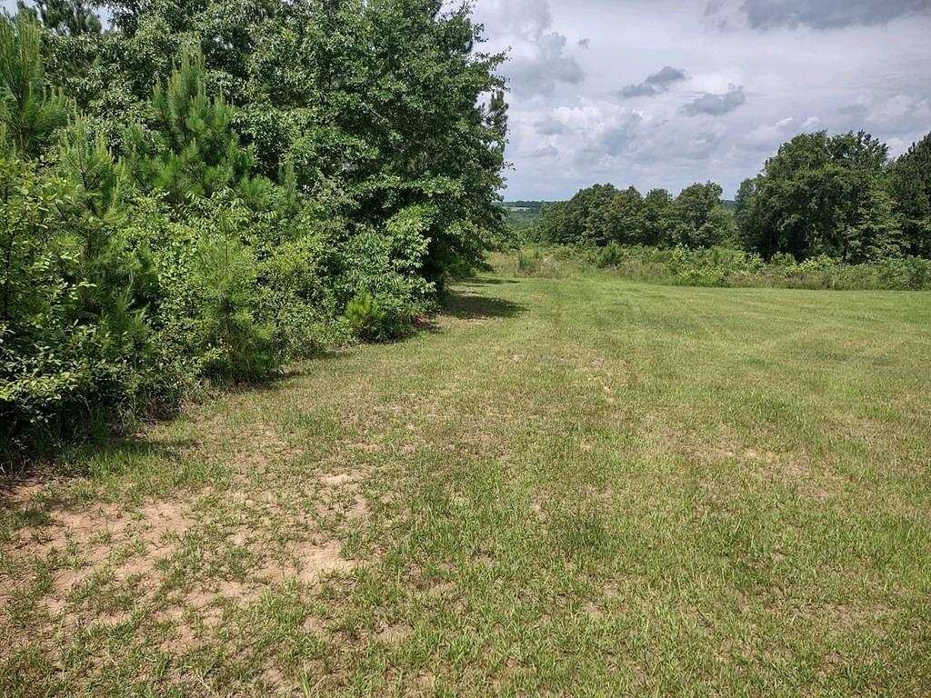 21.1 Acres of Recreational Land for Sale in Buena Vista, Georgia