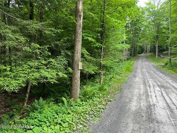 18.5 Acres of Land for Sale in Conesville, New York