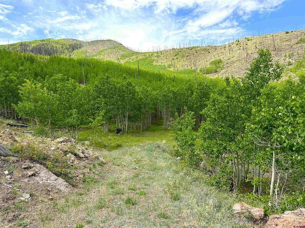 14.6 Acres of Land for Sale in South Fork, Colorado