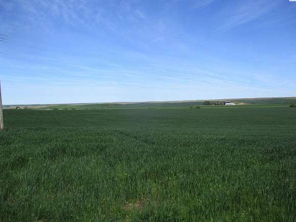 240 Acres of Agricultural Land for Sale in Walla Walla, Washington