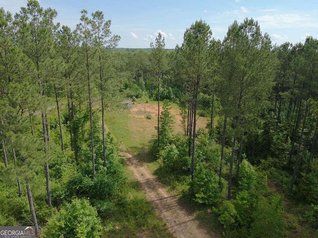 98.81 Acres of Recreational Land for Sale in Greenville, Georgia