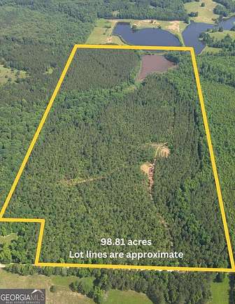 98.8 Acres of Recreational Land for Sale in Greenville, Georgia
