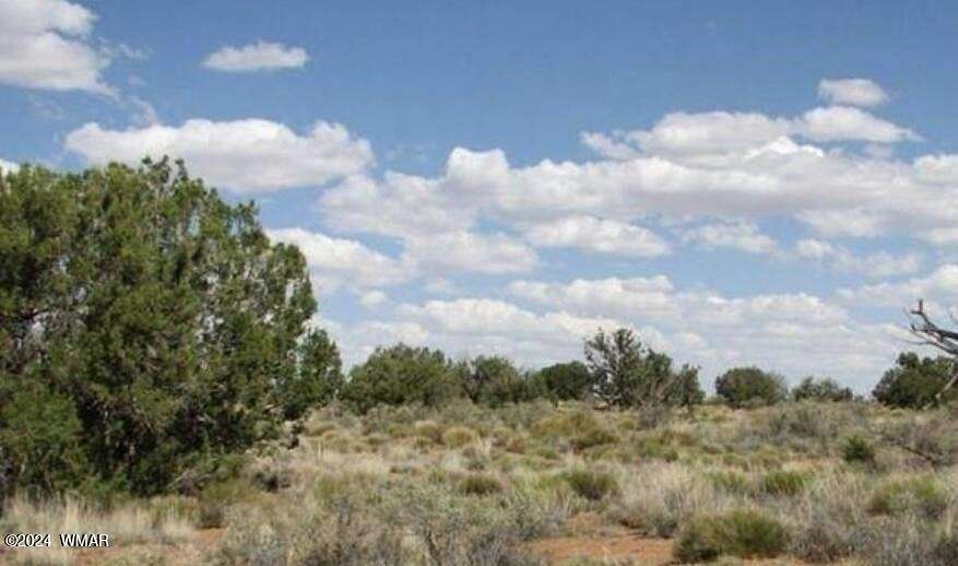 41 Acres of Land for Sale in Heber, Arizona