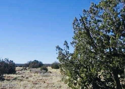 41 Acres of Land for Sale in Heber, Arizona