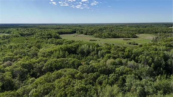 60 Acres of Recreational Land for Sale in Hillman, Minnesota