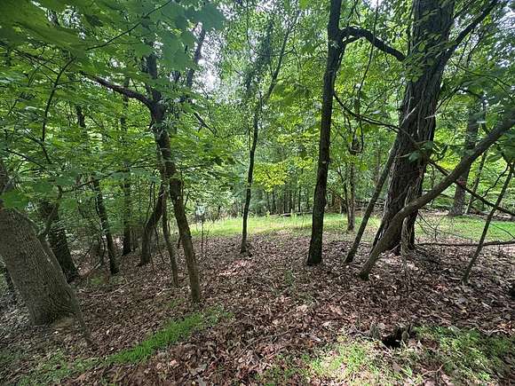 0.6 Acres of Residential Land for Sale in Ellijay, Georgia