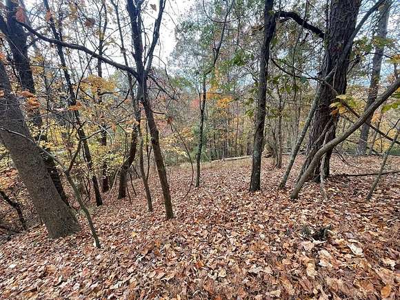 0.6 Acres of Residential Land for Sale in Ellijay, Georgia