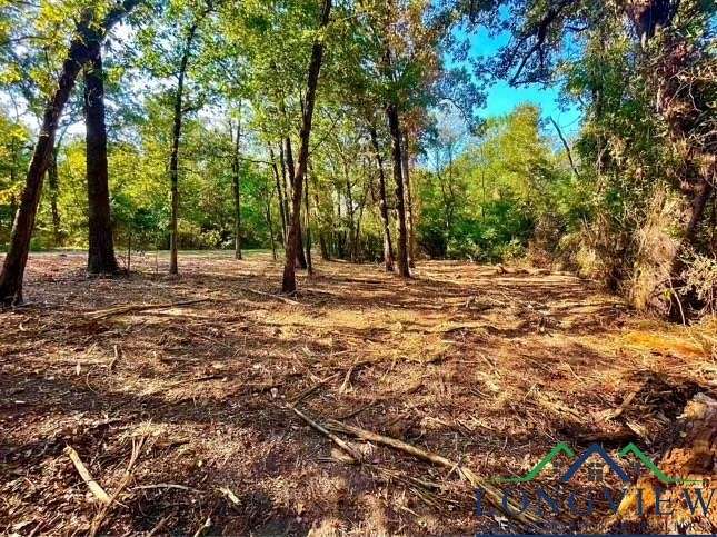 0.96 Acres of Land for Sale in Pittsburg, Texas