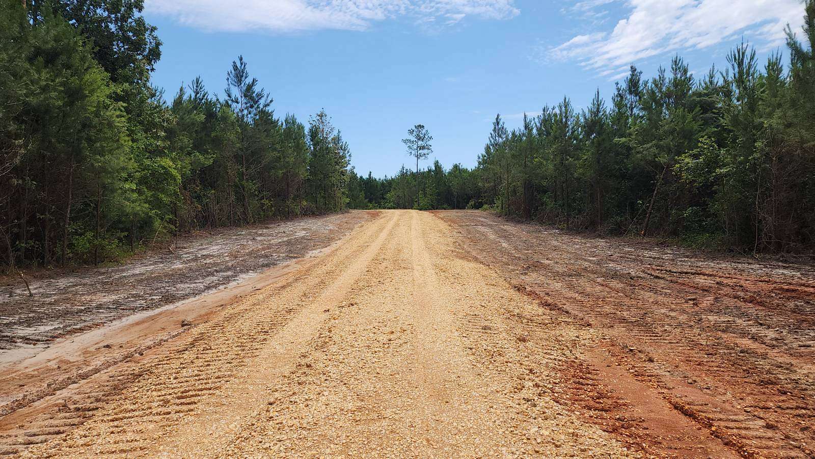 15 Acres of Recreational Land & Farm for Sale in Georgiana, Alabama