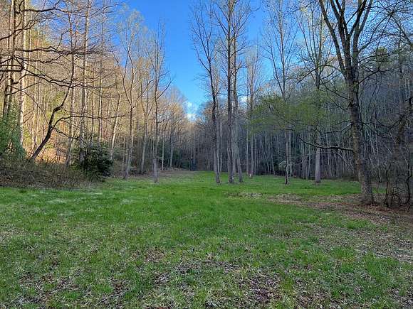 96 Acres of Land for Sale in Dry Pond, Virginia