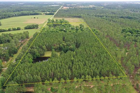 25 Acres of Land with Home for Sale in Ochlocknee, Georgia