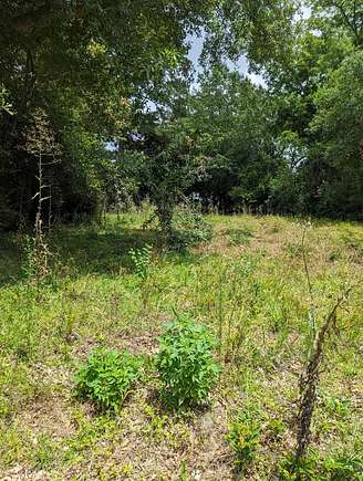 0.32 Acres of Residential Land for Sale in Dothan, Alabama
