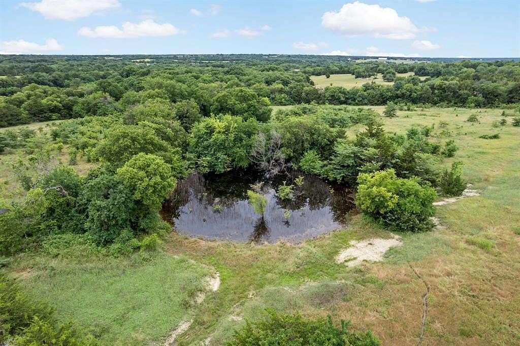 54 Acres of Land for Sale in Whitewright, Texas
